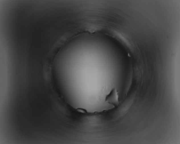 X0000095670307200801081214
