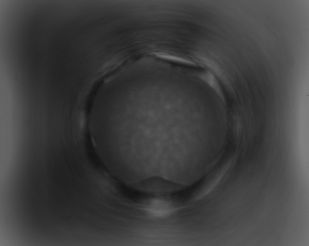 X0000095670308200801081214