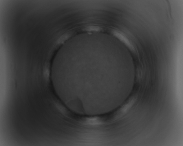 X0000095670309200801081214
