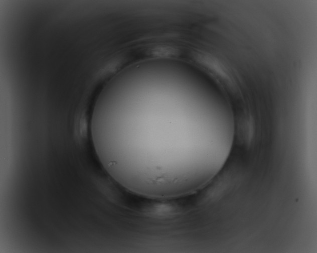 X0000095670310200801081214