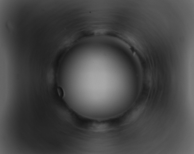 X0000095670311200801081214
