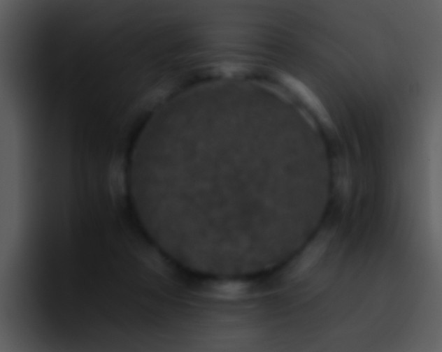 X0000095670313200801081214