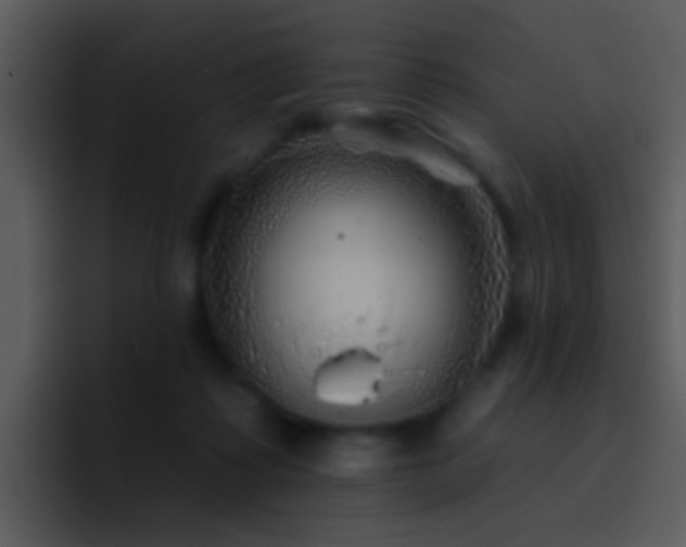 X0000095670315200801081214