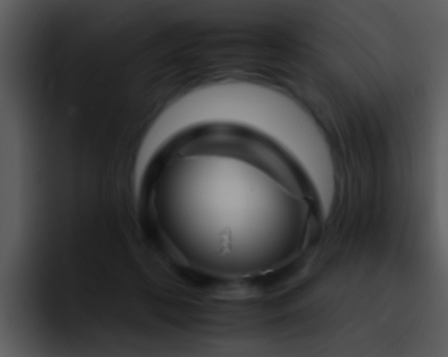 X0000095670316200801081214