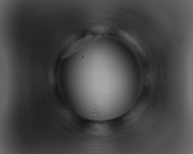 X0000095670317200801081214