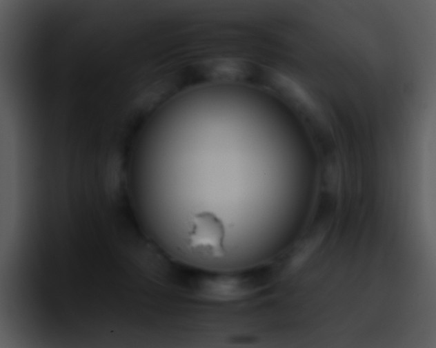 X0000095670318200801081214