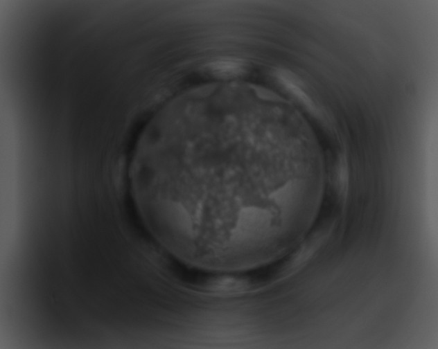 X0000095670319200801081214