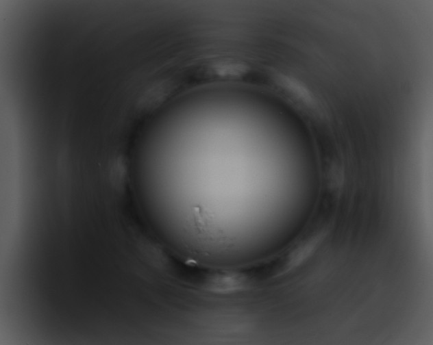 X0000095670321200801081214