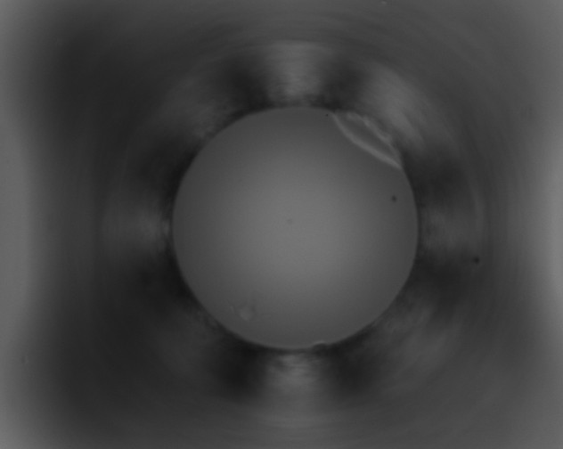 X0000095670324200801081213