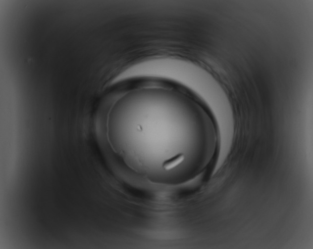 X0000095670325200801081213