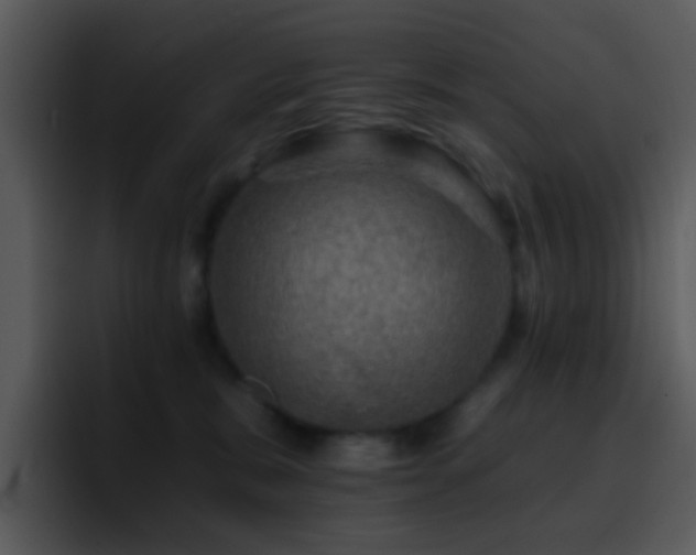 X0000095670327200801081213