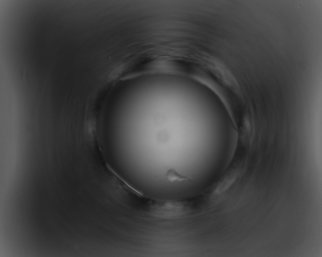 X0000095670329200801081213