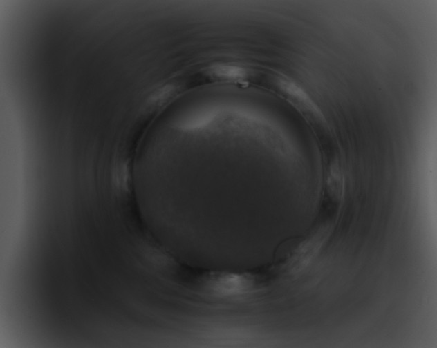 X0000095670330200801081213
