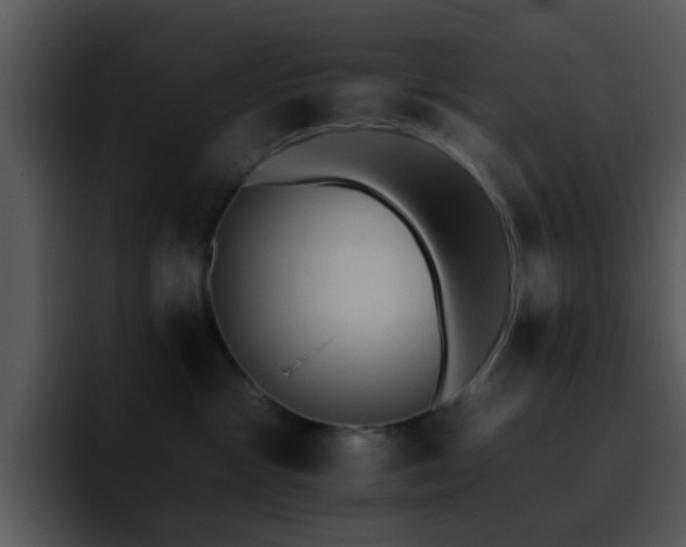 X0000095670333200801081213
