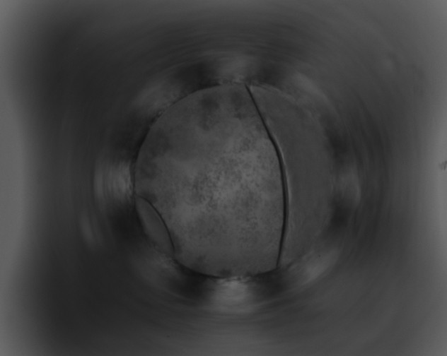 X0000095670335200801081213