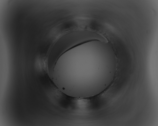X0000095670336200801081213