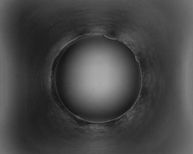 X0000095670338200801081213