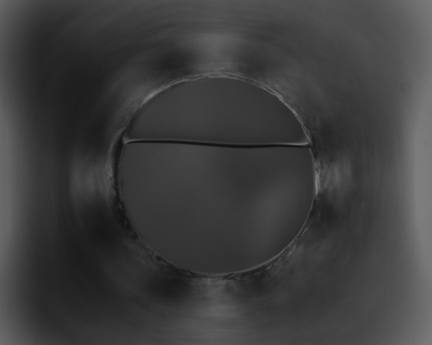 X0000095670339200801081213