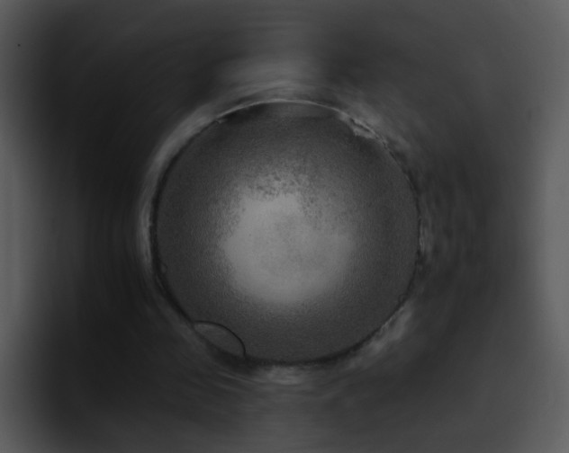 X0000095670341200801081213