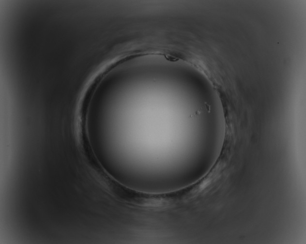 X0000095670342200801081213