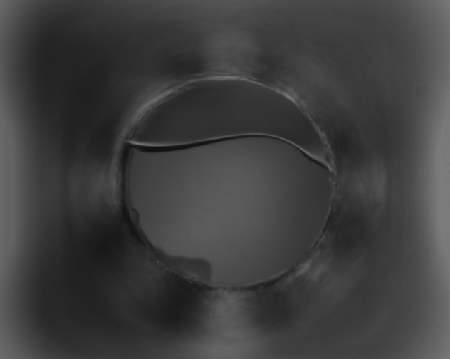 X0000095670343200801081213