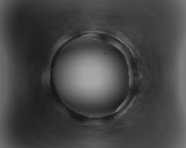 X0000095670344200801081213