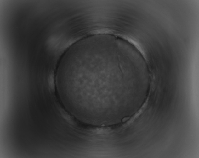 X0000095670345200801081213