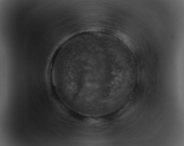 X0000095670346200801081213