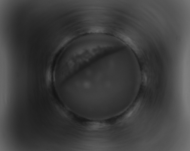 X0000095670347200801081213