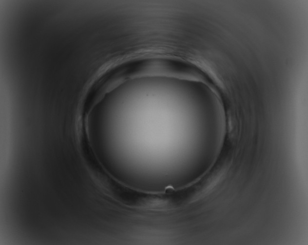 X0000095670348200801081213
