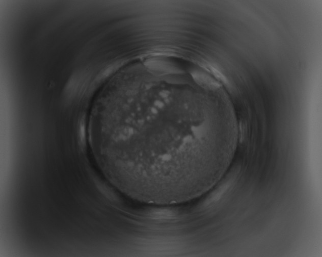 X0000095670349200801081213