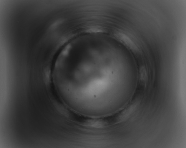 X0000095670351200801081213