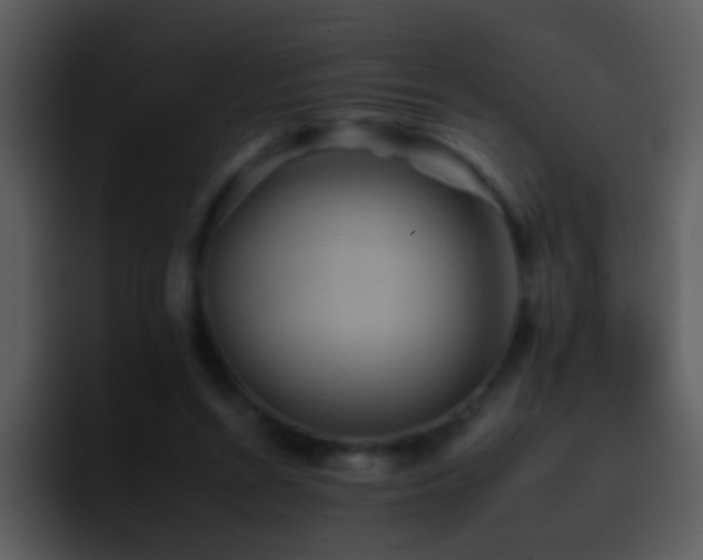 X0000095670352200801081213