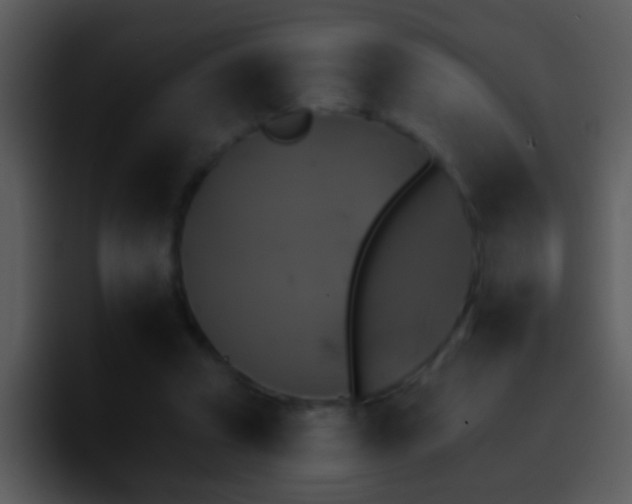 X0000095670353200801081213