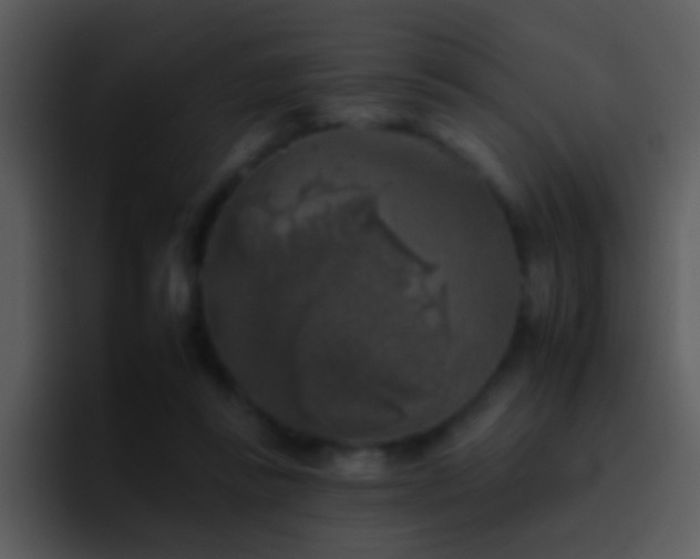 X0000095670355200801081213