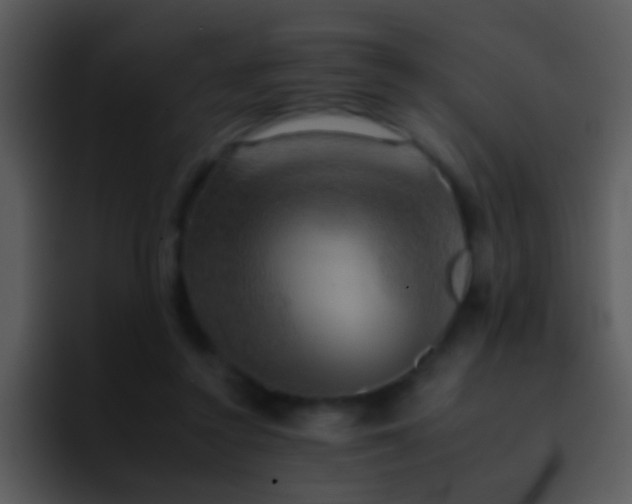 X0000095670356200801081213