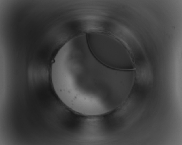X0000095670357200801081213