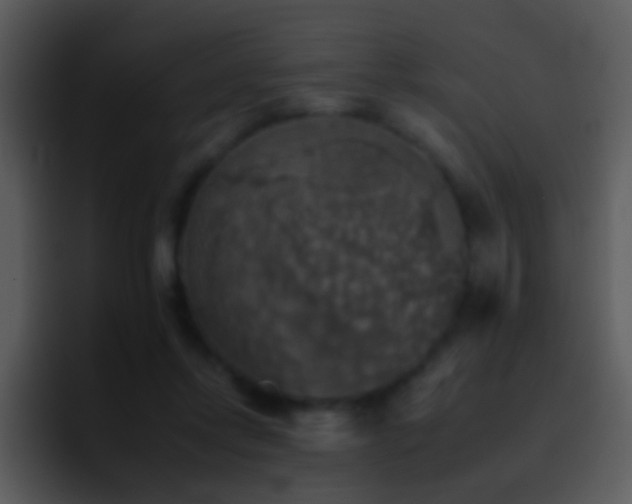 X0000095670358200801081213