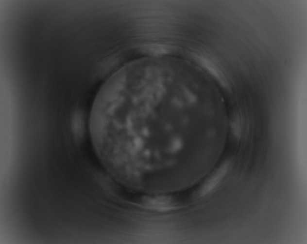 X0000095670359200801081213