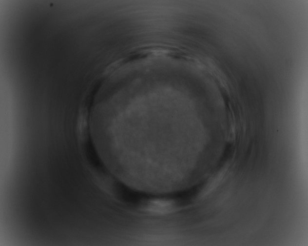 X0000095670360200801081213