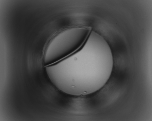 X0000095670362200801081213