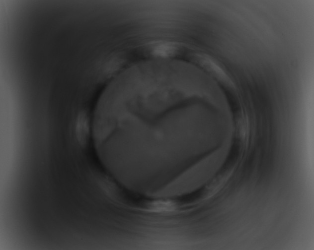 X0000095670363200801081213