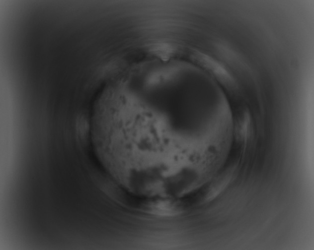 X0000095670365200801081213