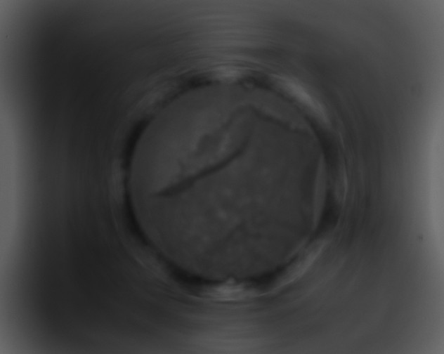 X0000095670366200801081213