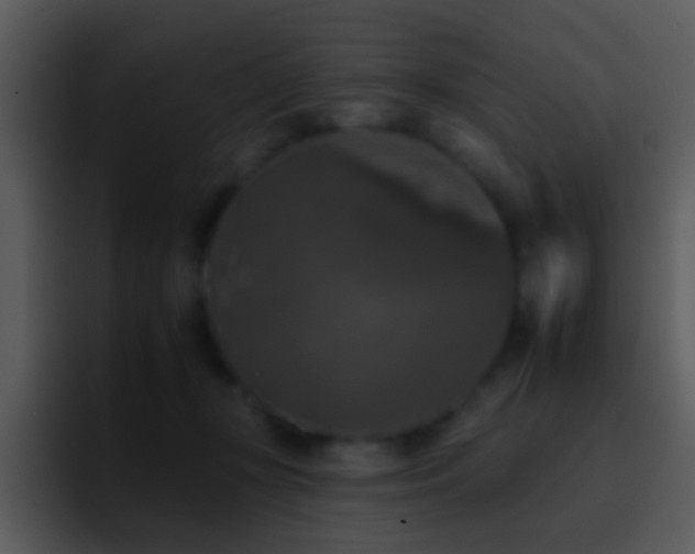 X0000095670367200801081213