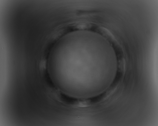 X0000095670368200801081213