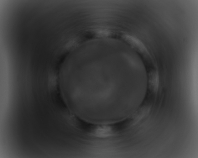 X0000095670369200801081213