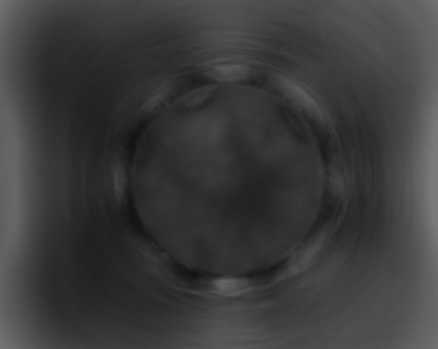 X0000095670371200801081213