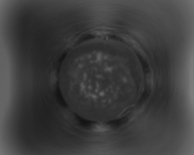 X0000095670372200801081213