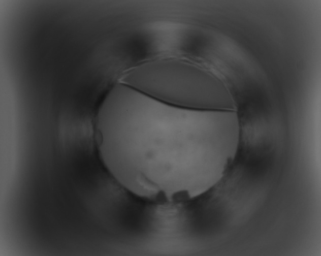 X0000095670373200801081213
